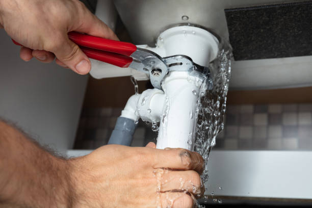 Best Water damage cleanup near me  in Saline, MI