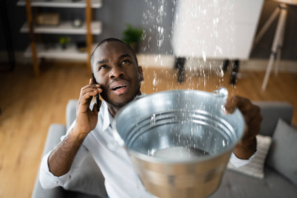 Best Commercial water damage restoration  in Saline, MI