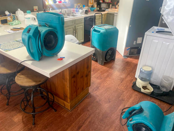 Best Local water damage restoration  in Saline, MI