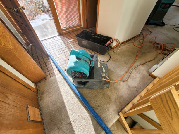 Best Local water damage restoration  in Saline, MI