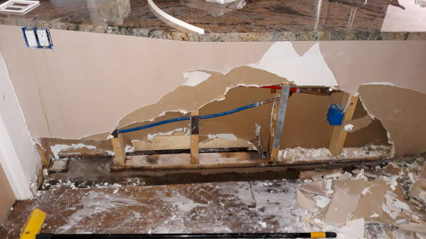 Best Fire Damage Restoration  in Saline, MI