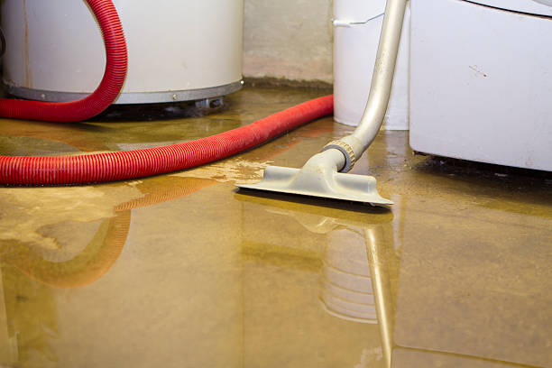 Best Flood restoration services  in Saline, MI