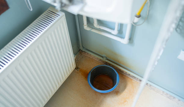 Best Sewage cleanup and water damage restoration  in Saline, MI