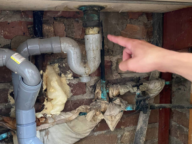 Best Water damage restoration near me  in Saline, MI